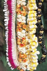 FlowerLeis_oahu0028_l.jpg
