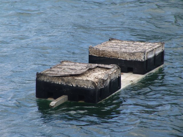 tsunami-american samoa 002