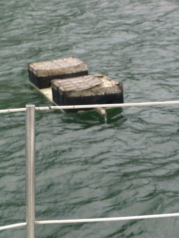 tsunami-american samoa 003