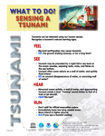 sensing_a_tsunami_thumbnail