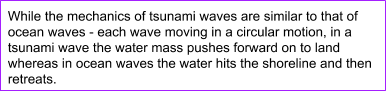 TsunamiFactvsFiction image1