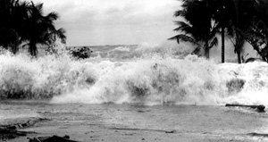 1946 hilo wave ptm web