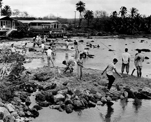 1957 hawaii yamauchi web