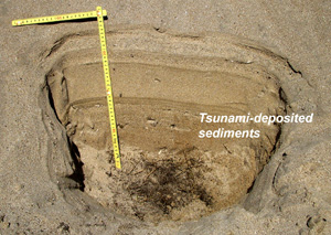 2004 bandaaceh sediments img 1935 nishimura web