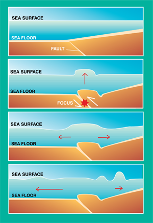 tsugeneration eq web