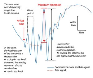 tsunamimareogram web