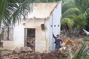 tsunamisurvey liu web