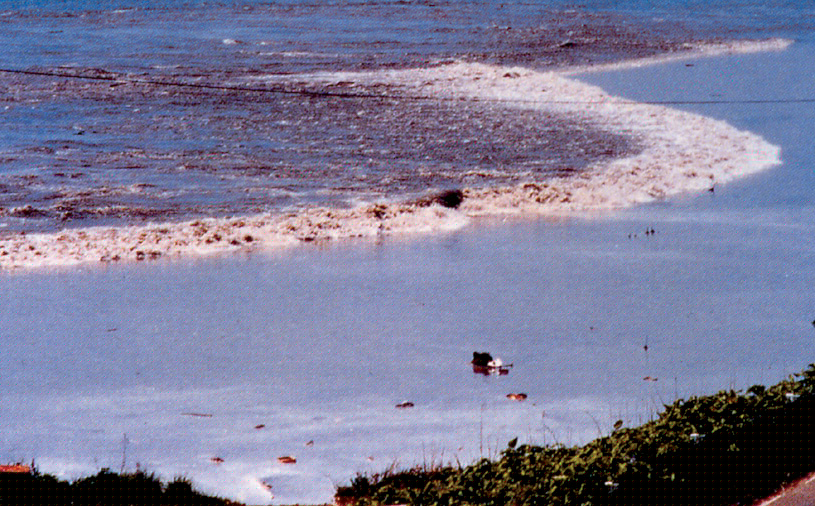 1983 japansea tsunami big