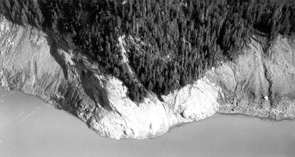 Trees scoured from the hillsides around Lituya Bay, Alaska after the 1958 landslide and tsunami. (Photo: USGS) IMG1 08 07 Lituya Bay 7 585px