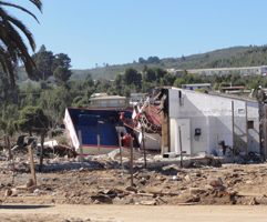 dichato_chile_kong_dsc00496_crop_241x200