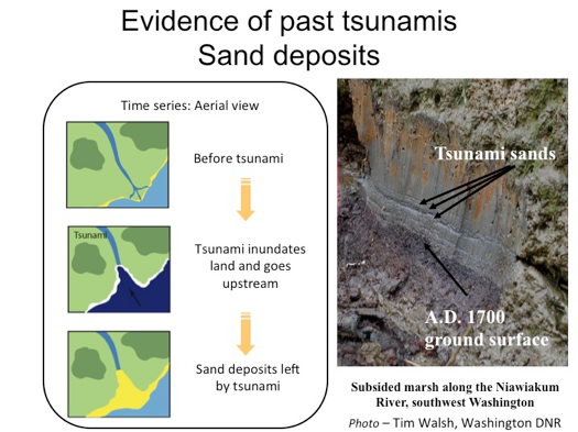 evidence of past tsu sand deposits