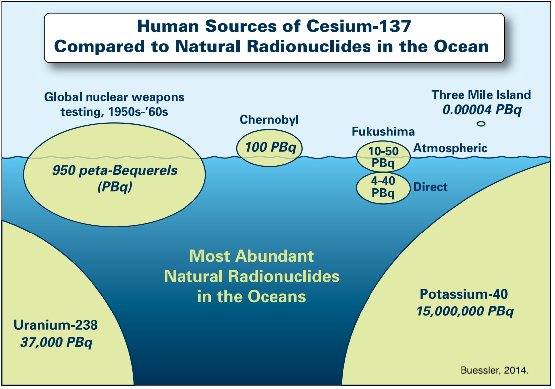 Fig2 3 RadiationInOcean Buessler