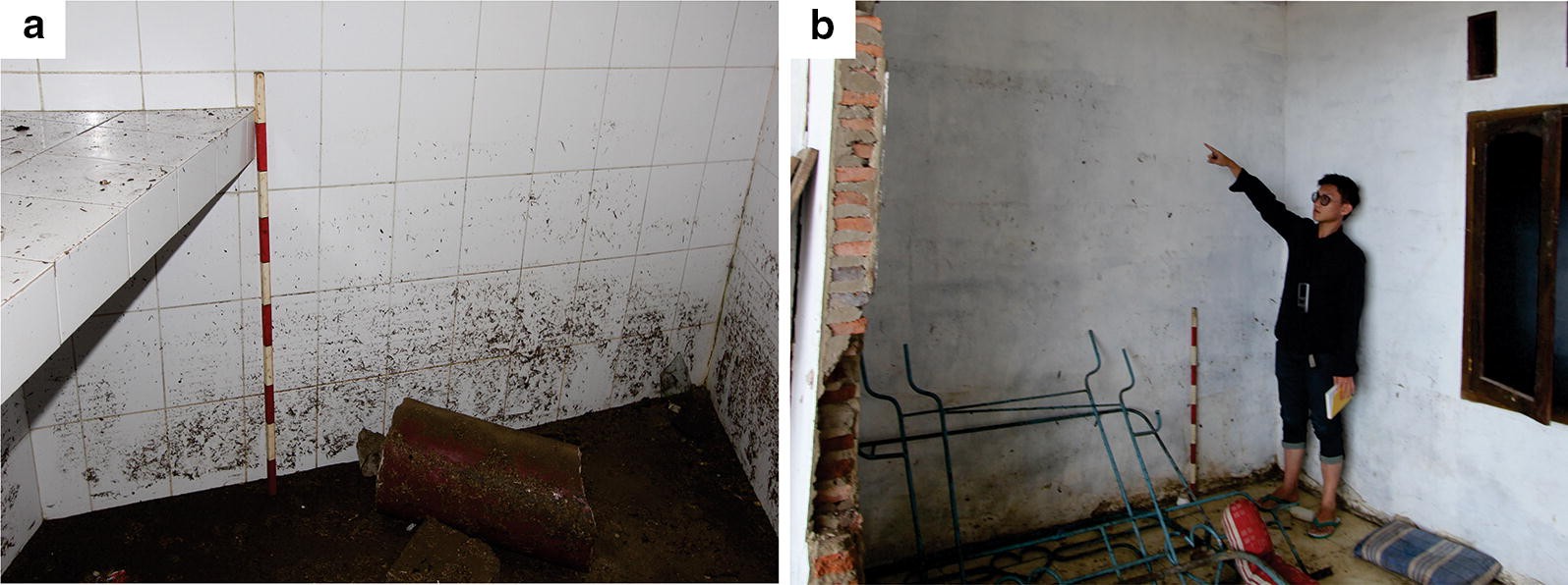 IMG11 24 2020 2446 Fig3 HTML